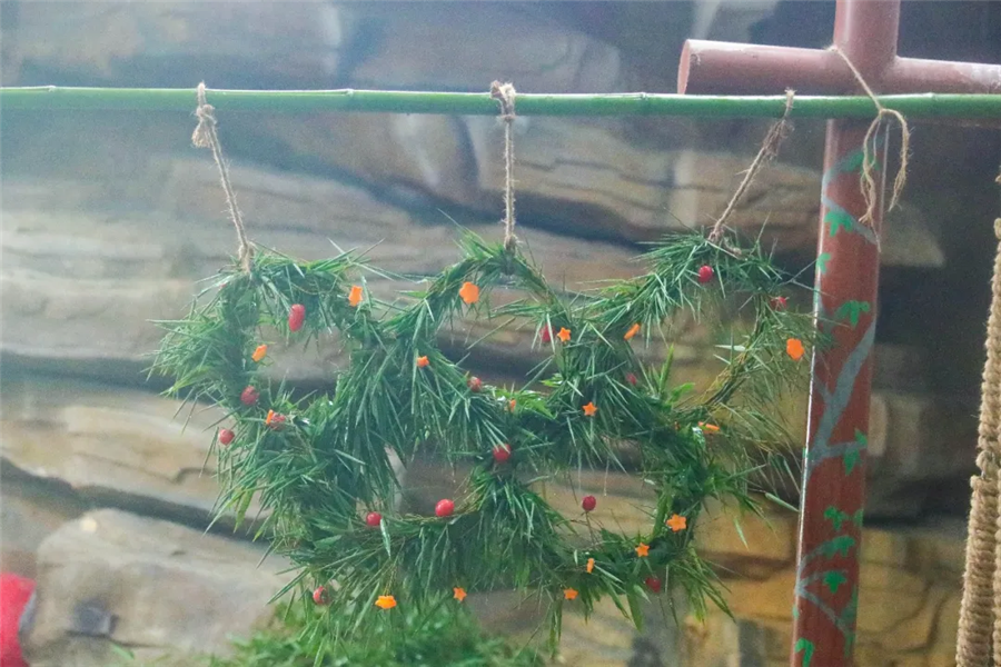 四川娃大熊猫成小生日会,梦幻联动奥运风