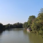 春秋淹城遗址公园—1、外城河（桥）