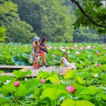 9、子城（河、桥）