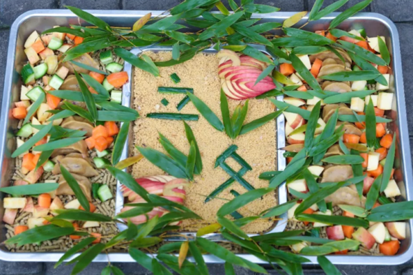 疫情期间立冬仪式感不能少，动物宅家吃饺子！