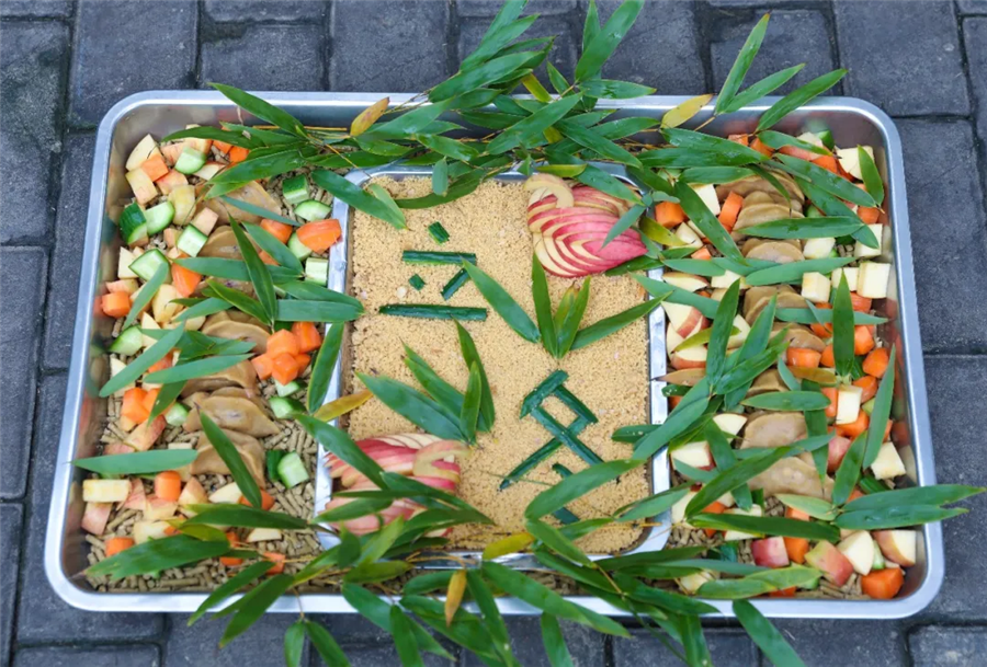 疫情期间立冬仪式感不能少,动物宅家吃饺子!