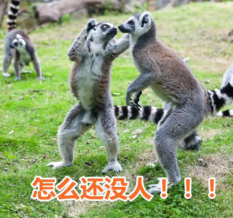 开园啦!11月18日江苏淹城野生动物世界恢复开放!