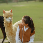 动物“整装”欢乐回归，教你玩转秋冬穿搭