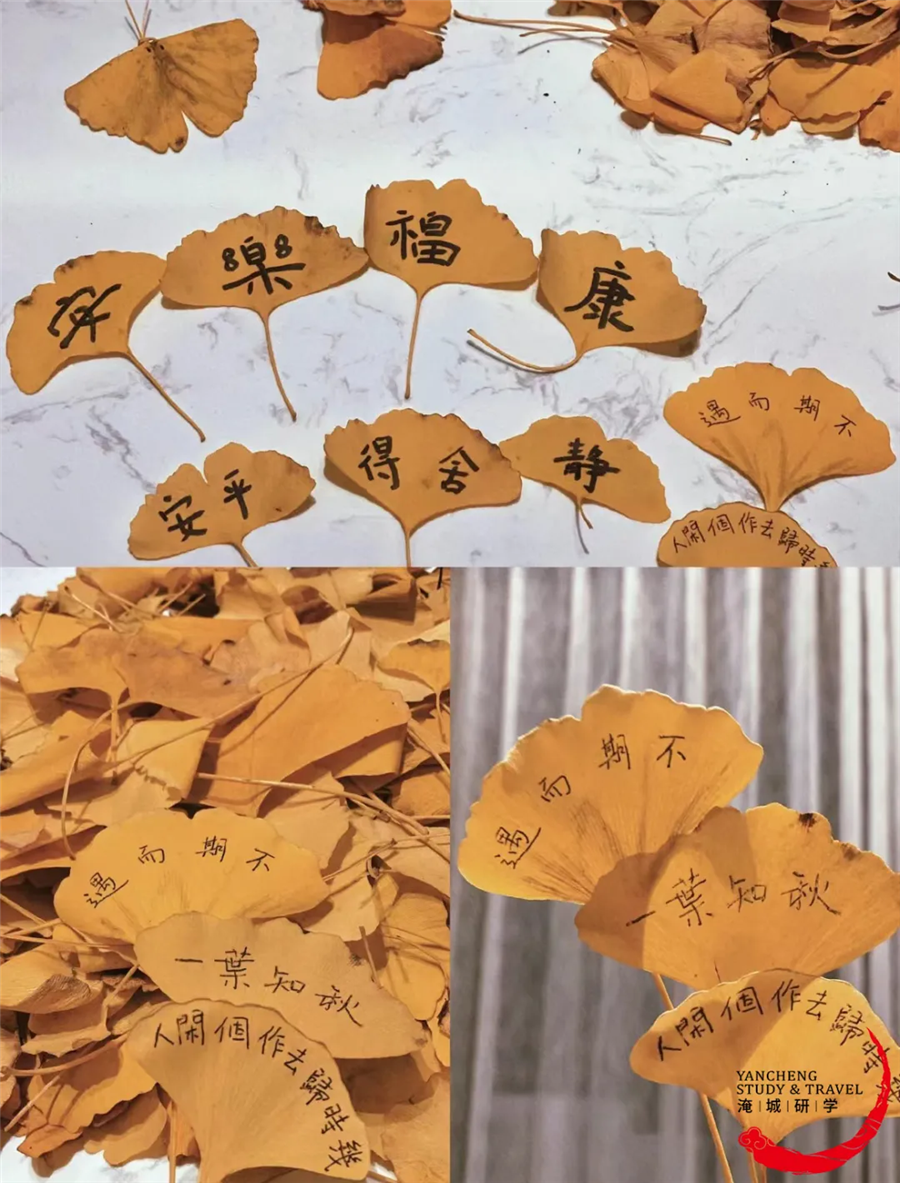 淹城研学 | 叮咚!您的“金冬”快递请签收~
