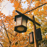 淹城研学 | 叮咚！您的“金冬”快递请签收~