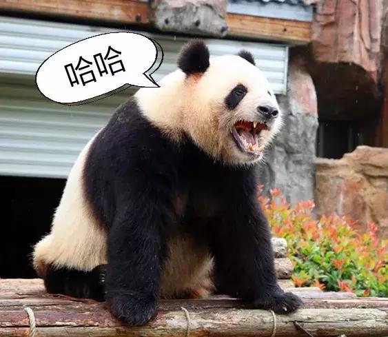 世界观崩塌了,一直认识的“她”竟是“他”……
