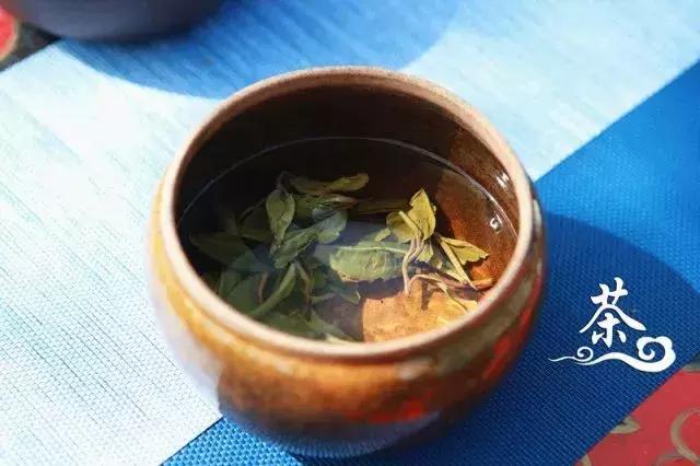 春光无限好，一起来春游