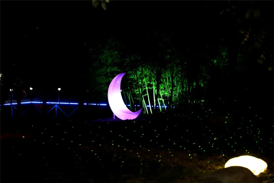 这个夏天,想和你夜游动物园