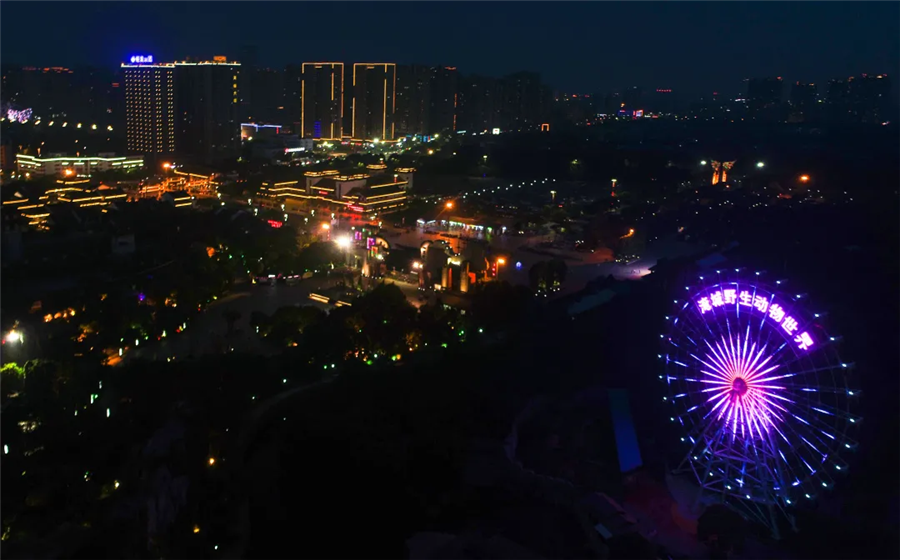 这个夏天,想和你夜游动物园