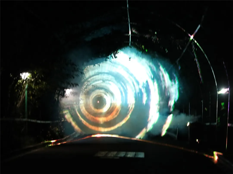 这个夏天,想和你夜游动物园