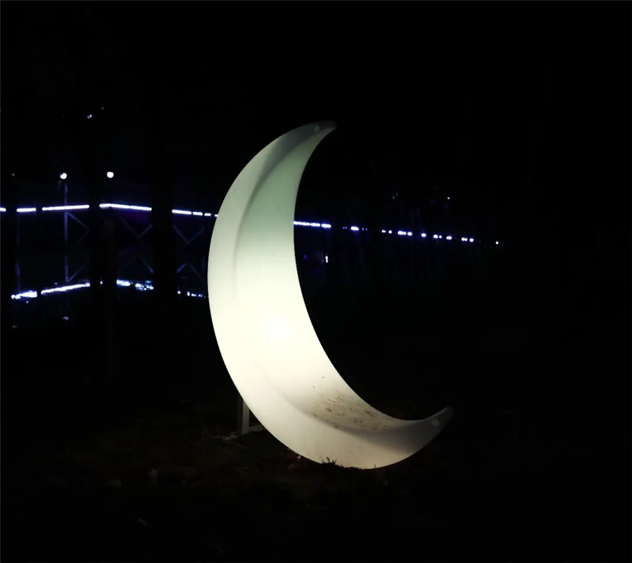这个夏天,想和你夜游动物园
