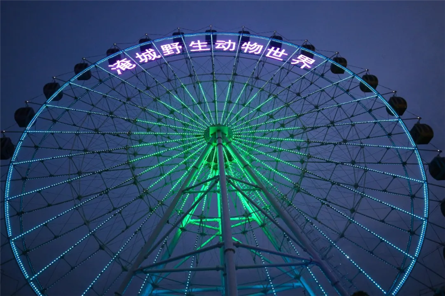 这个夏天，想和你夜游动物园