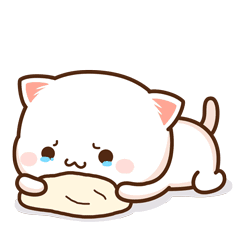 直播预告|红熊猫产房:见证新生命的奇迹