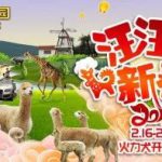 2018淹城野生动物园“汪汪闹新春”摄影大赛！动动手指，拿走千元奖品！