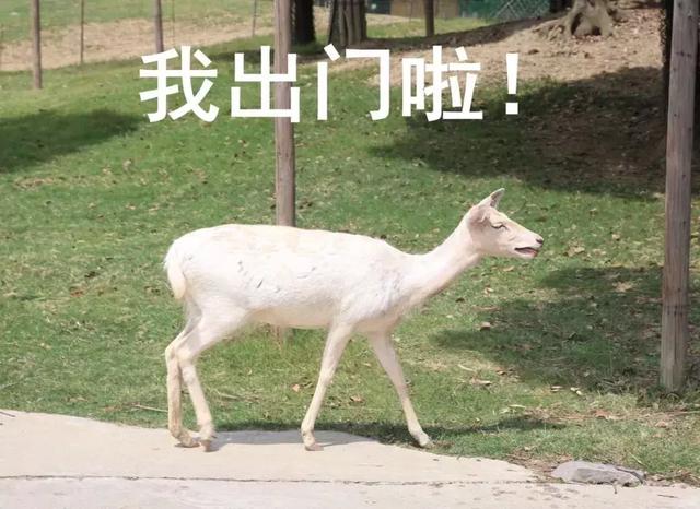 高温来袭,他们在室外都是靠什么“续命”的?