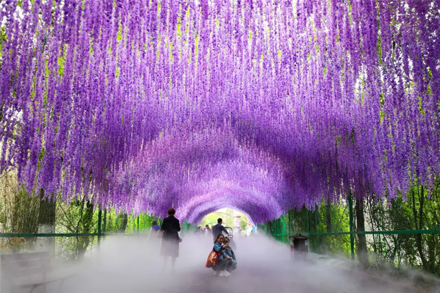 动物淘气节来啦!相约淹城野生动物世界,带你探秘现实版动物城~