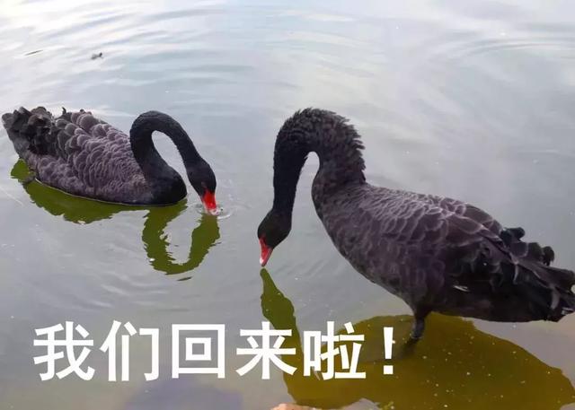 高温来袭,他们在室外都是靠什么“续命”的?