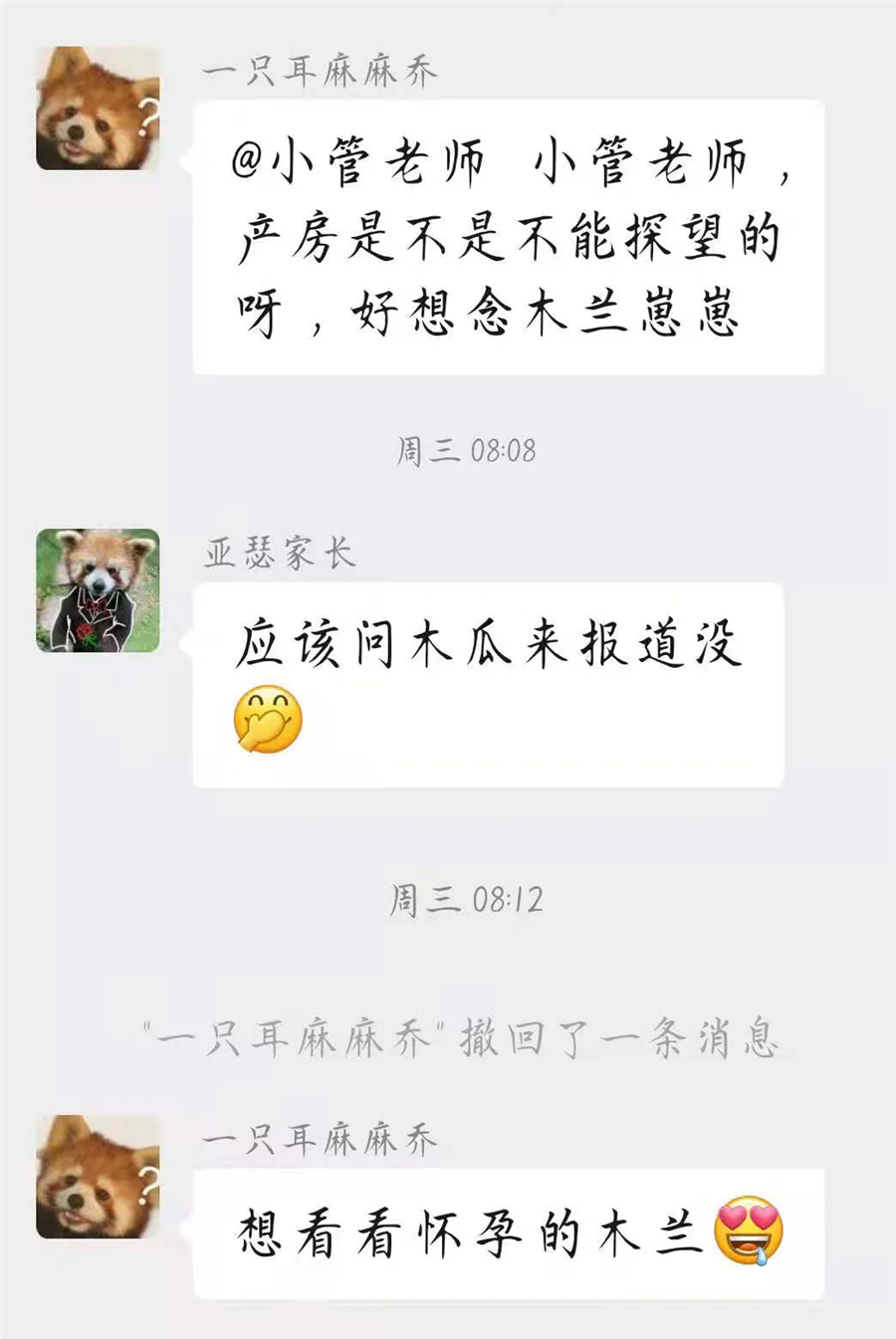 直播预告|红熊猫产房:见证新生命的奇迹