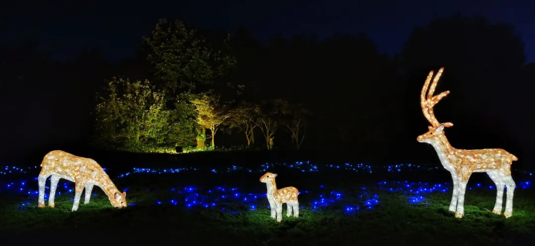 千张门票免费领,7月2日淹城野生动物园夜公园盛大开幕