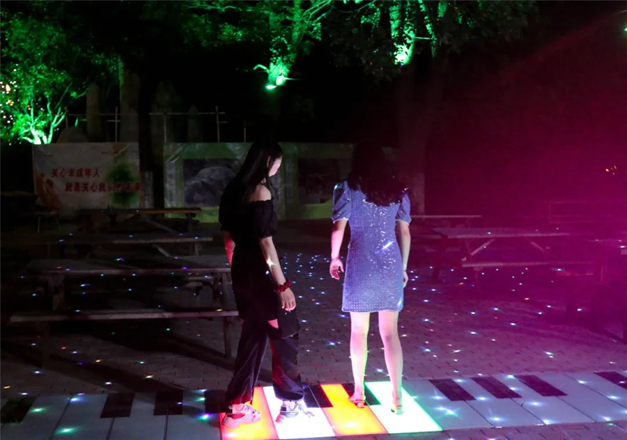 这个夏天,想和你夜游动物园
