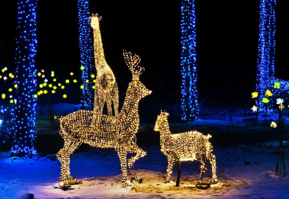 7月2日疯狂动物城，奇妙狂欢夜盛大开幕，精彩抢先看，带你嗨玩仲夏夜