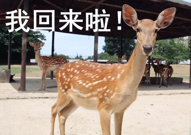 高温来袭,他们在室外都是靠什么“续命”的?
