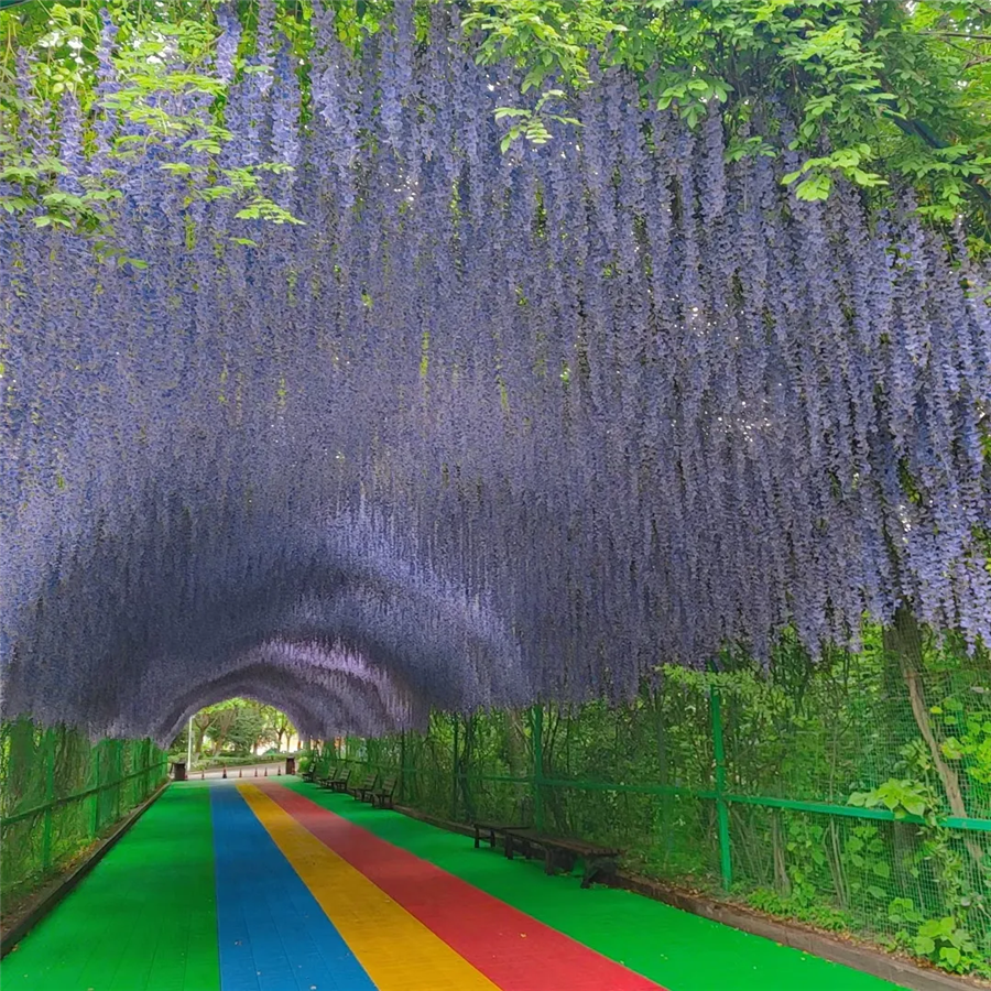 7月2日疯狂动物城,奇妙狂欢夜盛大开幕,精彩抢先看,带你嗨玩仲夏夜