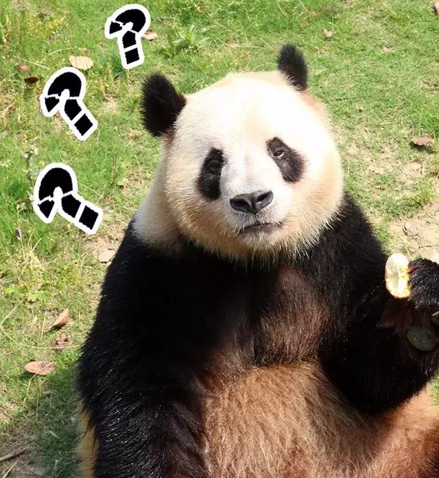 世界观崩塌了,一直认识的“她”竟是“他”……