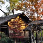 白露丨秋日苦短胜春朝，莫要辜负好秋光