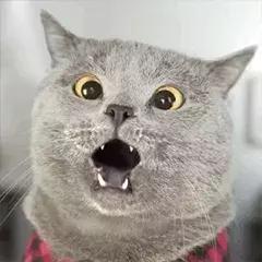 雾锁龙城!淹城春秋乐园为您拨开浓雾~