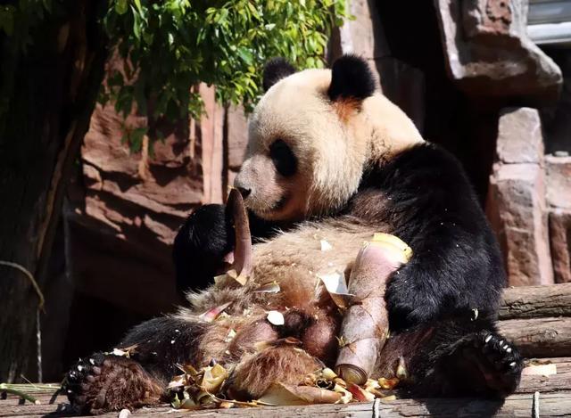 世界观崩塌了,一直认识的“她”竟是“他”……