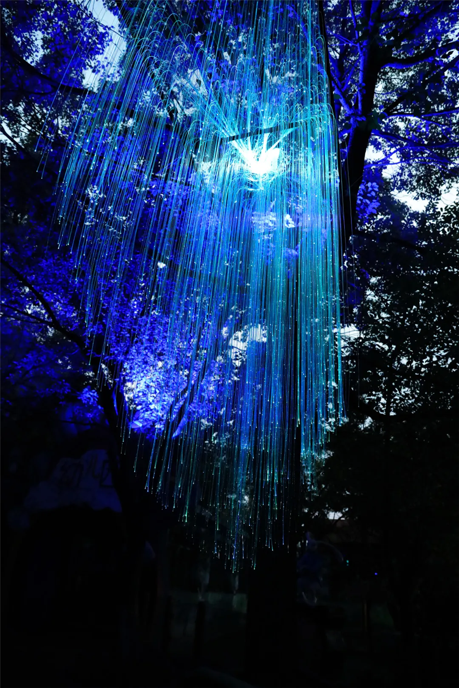 7月2日疯狂动物城,奇妙狂欢夜盛大开幕,精彩抢先看,带你嗨玩仲夏夜