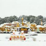 猝不及防的雪中美景，动物撒欢、游客嗨森、体验淹野速度！