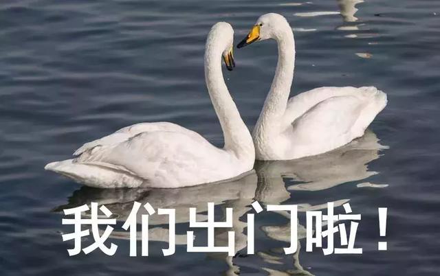高温来袭,他们在室外都是靠什么“续命”的?