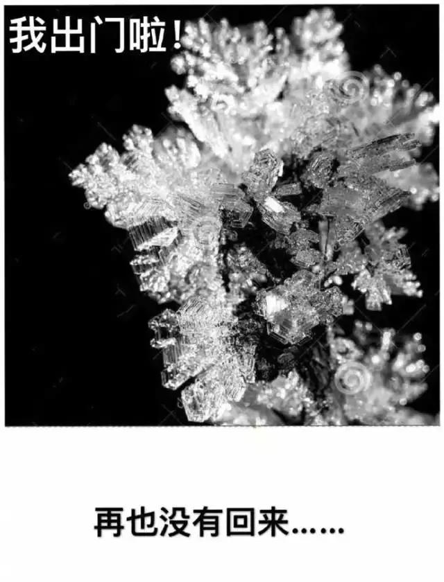 高温来袭,他们在室外都是靠什么“续命”的?