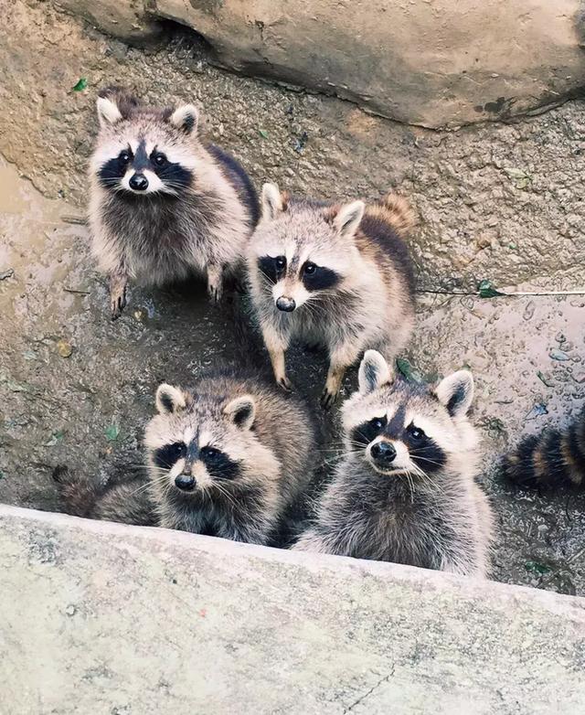 夏日如何pā pā pā最凉快?