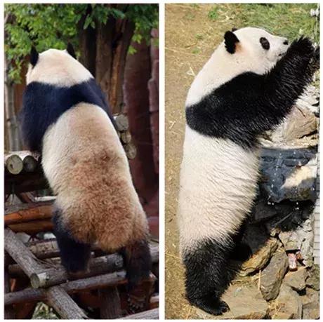 世界观崩塌了,一直认识的“她”竟是“他”……
