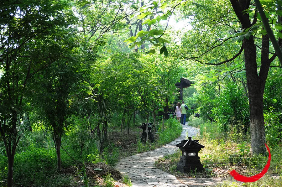 淹城研学 | 给小孩森林、河流、古城……还有整个自然