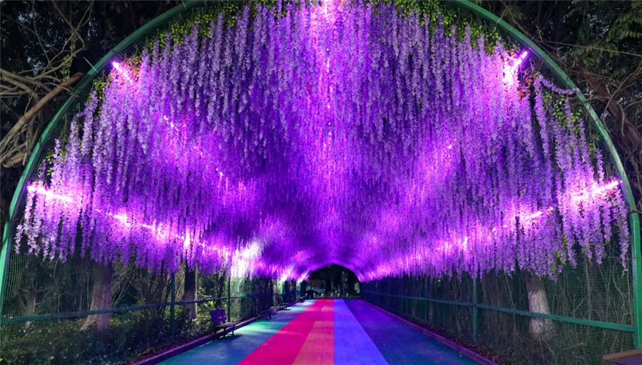 7月2日疯狂动物城,奇妙狂欢夜盛大开幕,精彩抢先看,带你嗨玩仲夏夜