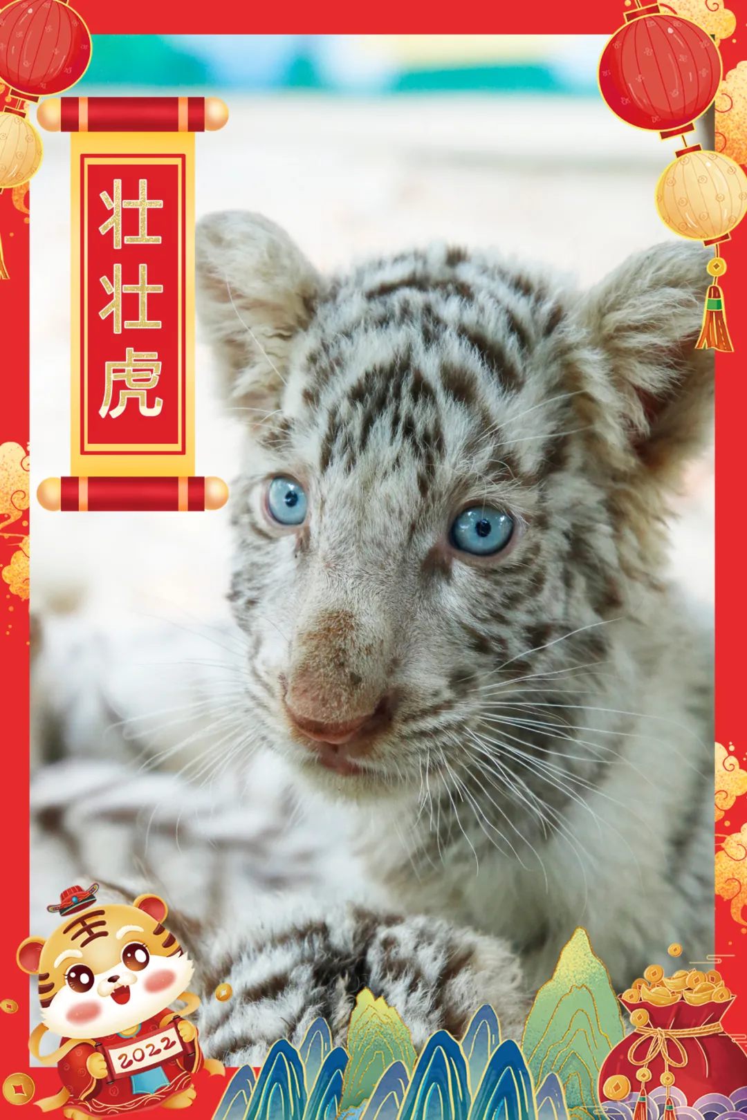 新春福利 | 淹城动物园新春必备游玩攻略，欢欢喜喜过大年