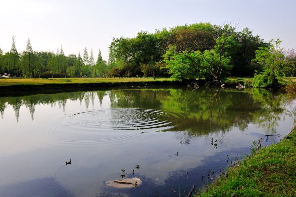 拜师石、洗砚池