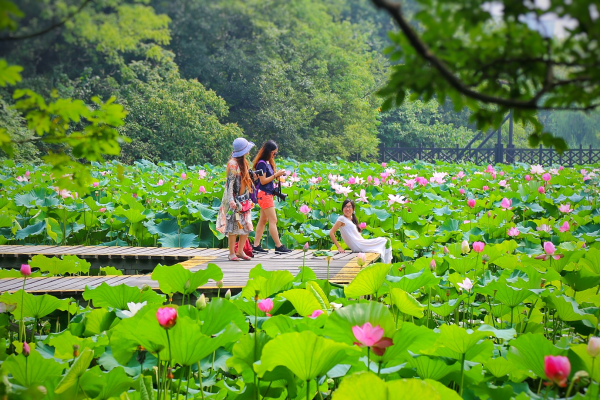 内城、子城河