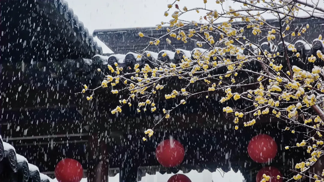 来武进区文化馆，邂逅雪中的最美文化空间