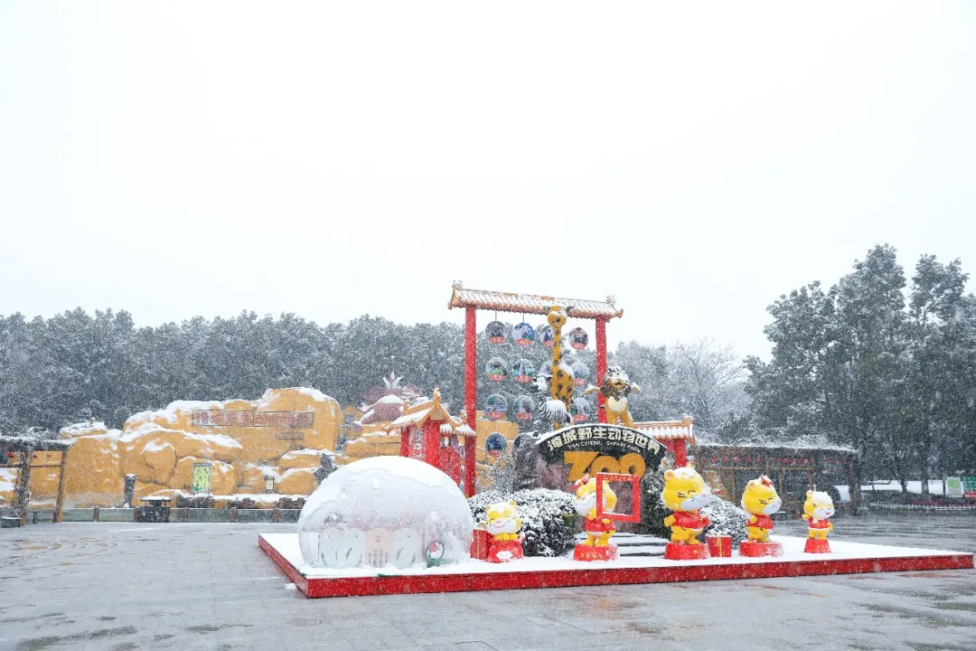 新年遇瑞雪，动物园的宝宝们乐疯啦