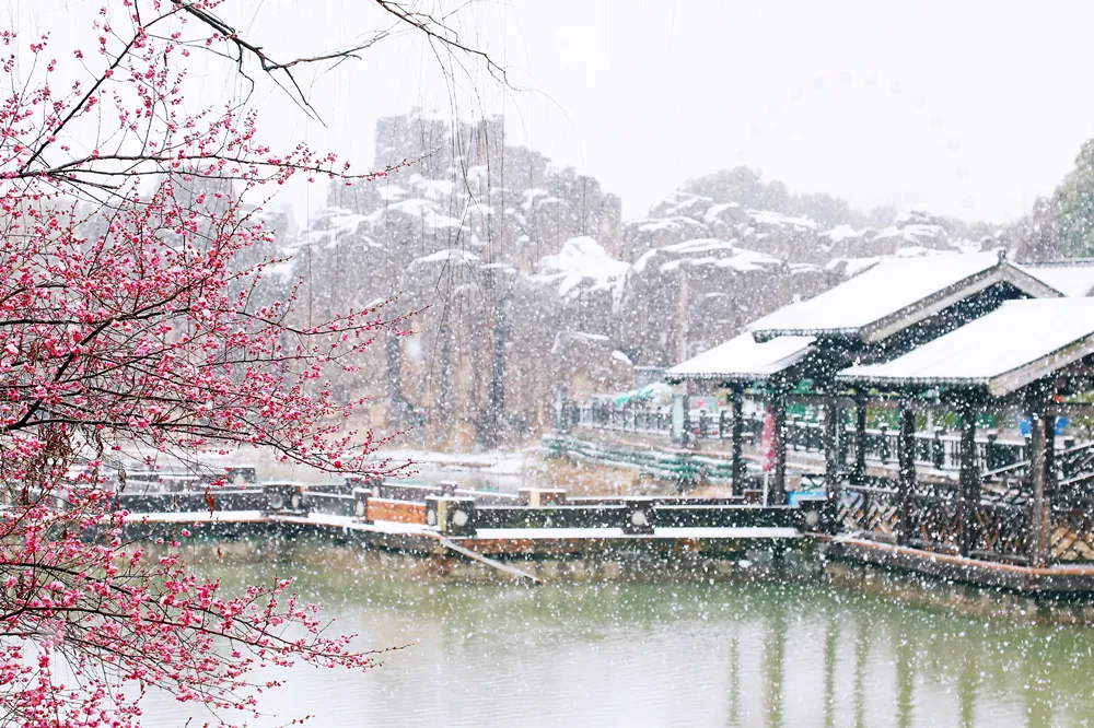 瑞雪穿庭作飞花，古城赏雪春意浓