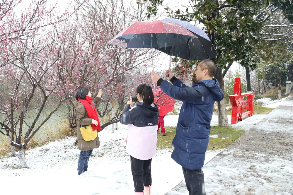 瑞雪穿庭作飞花，古城赏雪春意浓