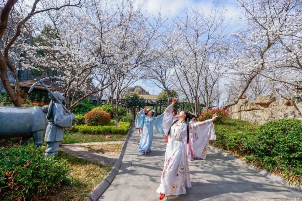 常州人进来云赏樱啦