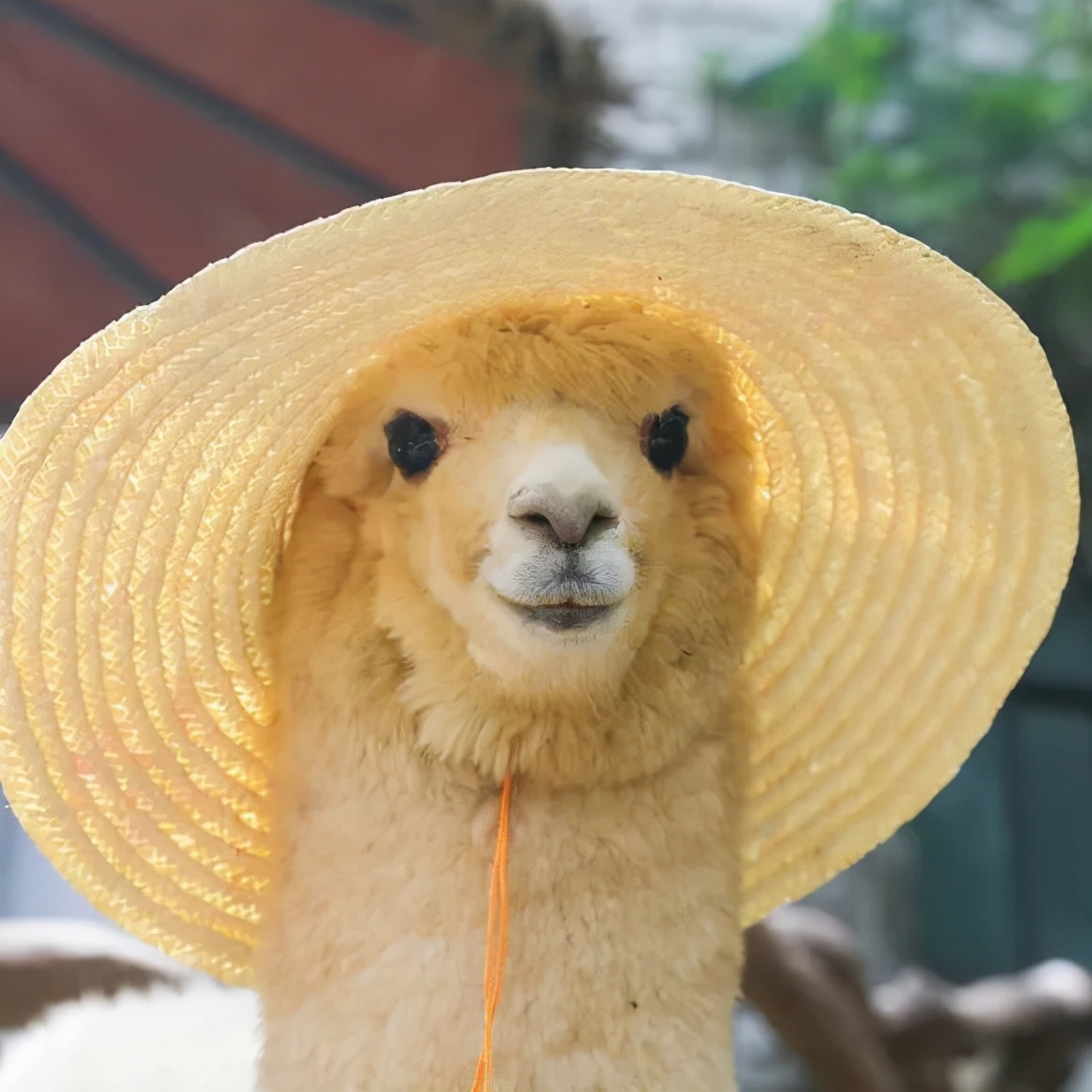 女神节9.9元秒杀门票！！！3月4日直播间更有惊喜福利送不停