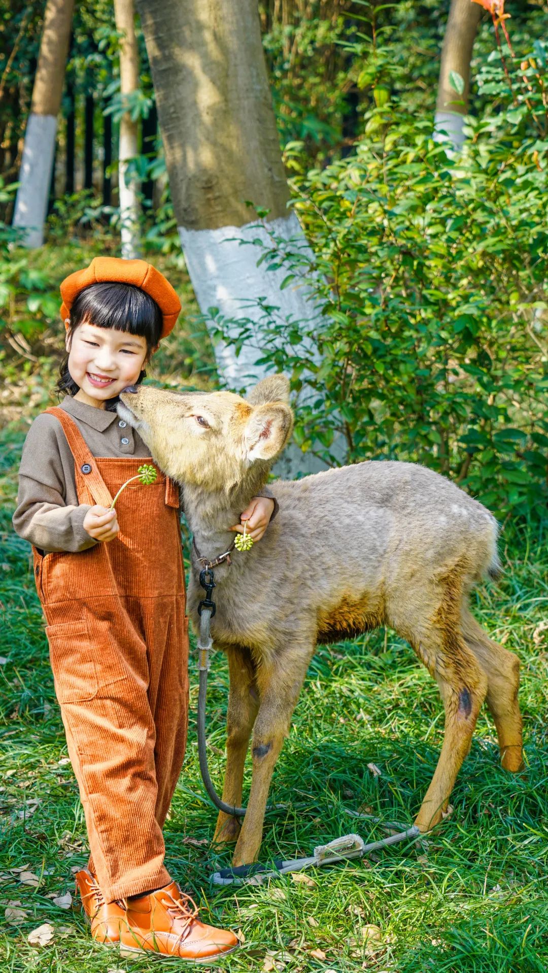 一见你来，淹城就乐开了花