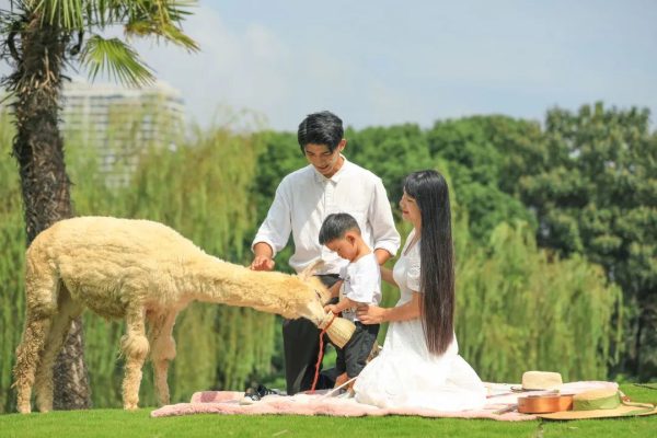 不“疫”样的春天，“童”样精彩